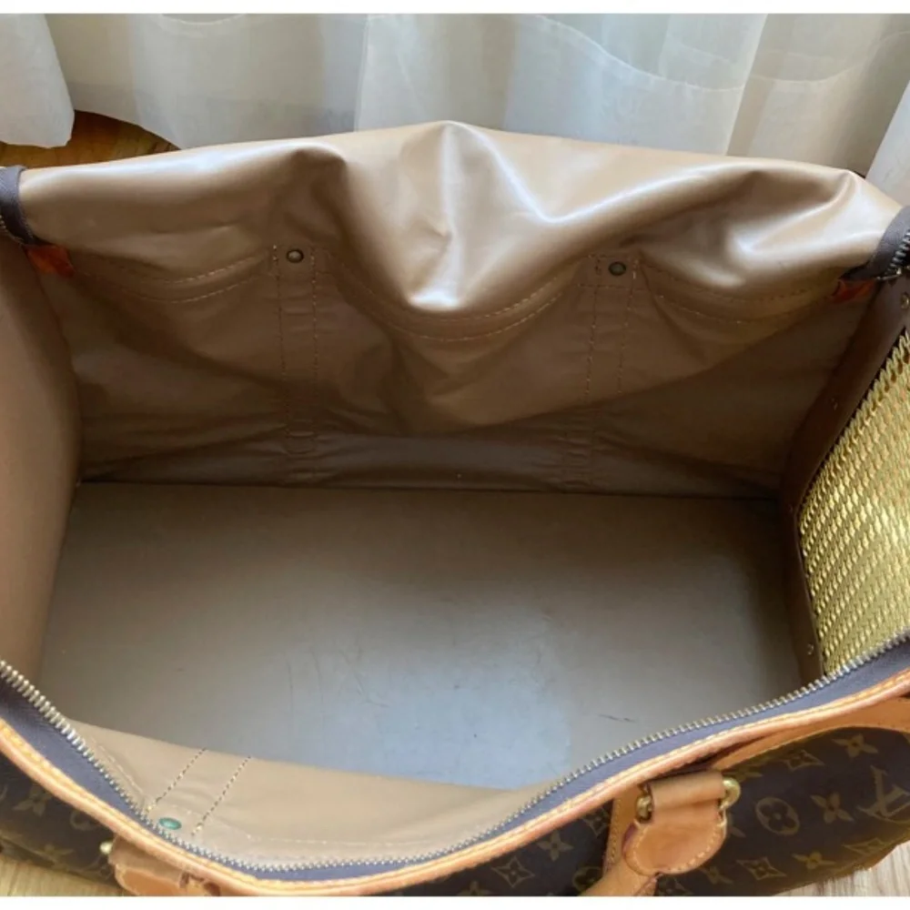 Louis Vuitton Small Dog Carrier